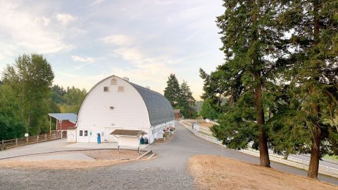 You'll Never Forget A Visit To Kelsey Creek Farm, A One-Of-A-Kind Farm Filled With Animals In Washington