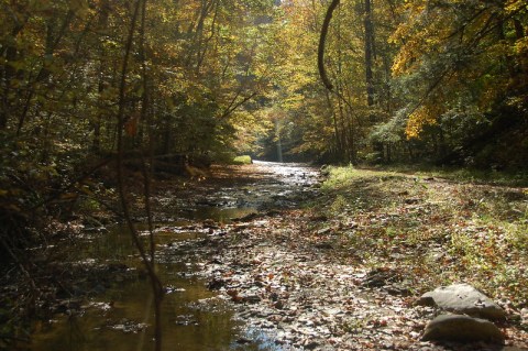There's Nothing Quite As Magical As The Nature Preserve You'll Find At Shades State Park In Indiana