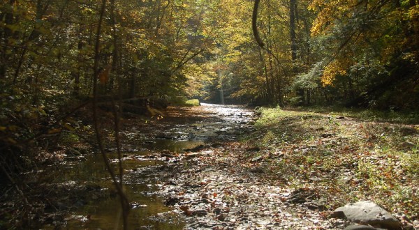 There’s Nothing Quite As Magical As The Nature Preserve You’ll Find At Shades State Park In Indiana