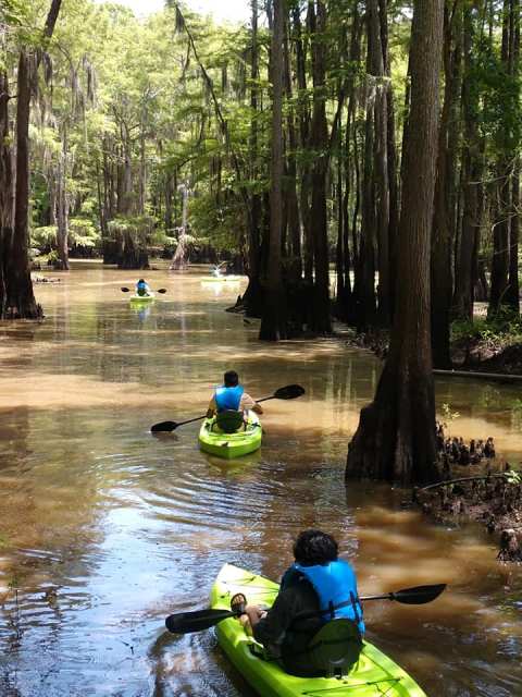 Paddle Through The World's Largest Cypress Forest Hiding In Deep East Texas