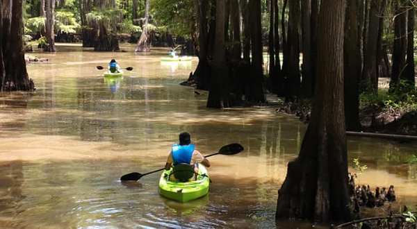 Paddle Through The World’s Largest Cypress Forest Hiding In Deep East Texas