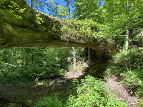 There's Nothing Quite As Magical As The Rock Bridge You'll Find At Shawnee National Forest In Illinois