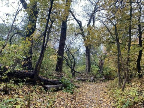 The Mt. Lucia And Ruth’s Ridge Trail Loop In Iowa Takes You From Creek To Peak And Back