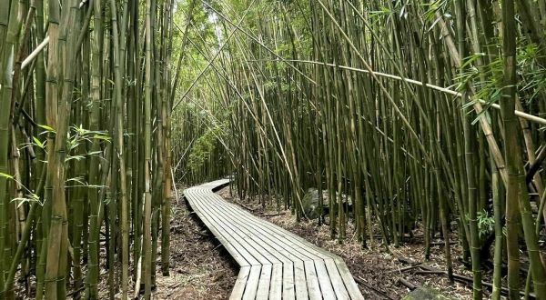 The One-Of-A-Kind Trail In Hawaii With Boardwalks And Waterfalls Is Quite The Hike