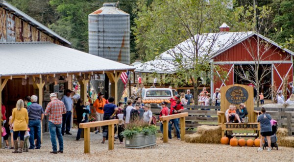 The 7 Best Alabama Farms To Visit This Fall