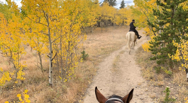 Take A Fall Foliage Trail Ride On Horseback At A&A Historical Trails In Colorado