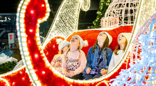 Luminova Holidays Is A Jaw-Dropping Holiday Light Exhibit Coming Soon To Colorado
