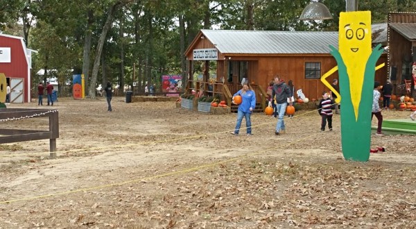 Fall Family Fun Abounds At Alabama’s Sand Mountain Corn Maze And Pumpkin Patch