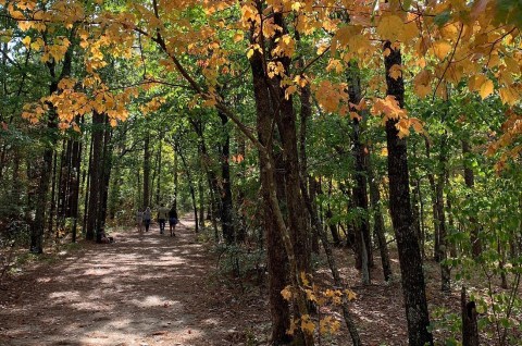 Experience The Most Enchanting Trails In Alabama At This Sprawling State Park