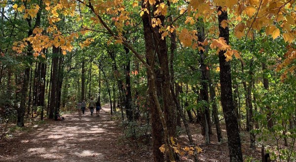 Experience The Most Enchanting Trails In Alabama At This Sprawling State Park