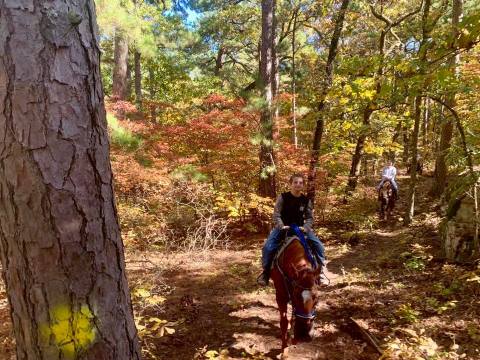 Take A Fall Foliage Trail Ride On Horseback At Robbers Cave Stables In Oklahoma