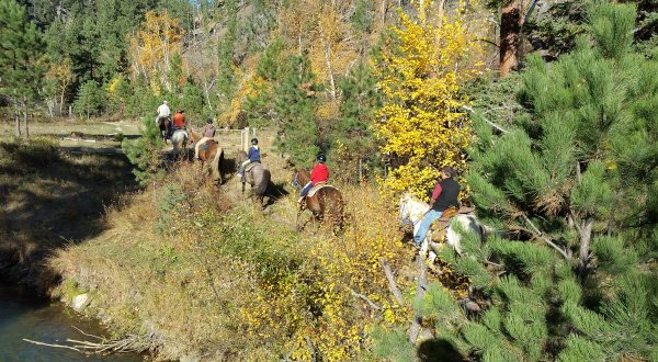 Take A Fall Foliage Trail Ride On Horseback At Andy’s Trail Rides In South Dakota