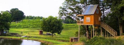 Drink And Be Merry And Then Spend The Night In Your Own Treehouse At Treehouse Vineyards In North Carolina