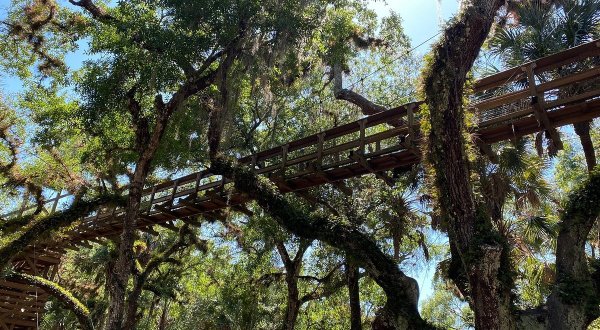 Spend The Day Exploring The Swinging Bridge Canopy Walkway In Florida