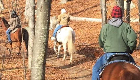 Take A Fall Foliage Trail Ride On Horseback At Sunset Stables In Rhode Island