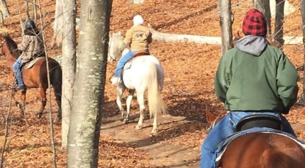 Take A Fall Foliage Trail Ride On Horseback At Sunset Stables In Rhode Island