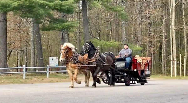 This Quaint Wagon Ride Through New Hampshire’s Forest Is A Magnificent Way To Take It All In