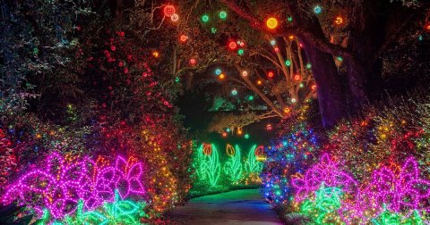 Everyone Should Take This Spectacular Holiday Trail Of Lights In Alabama This Season