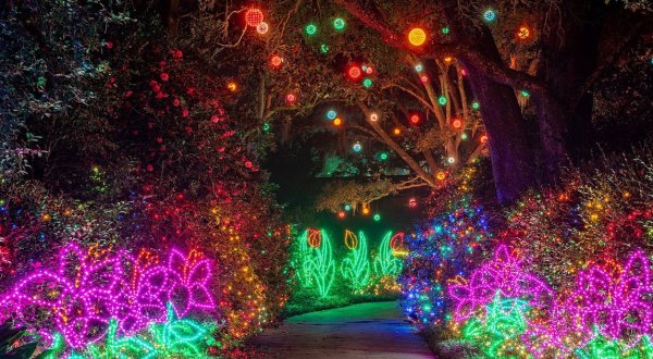 Everyone Should Take This Spectacular Holiday Trail Of Lights In Alabama This Season