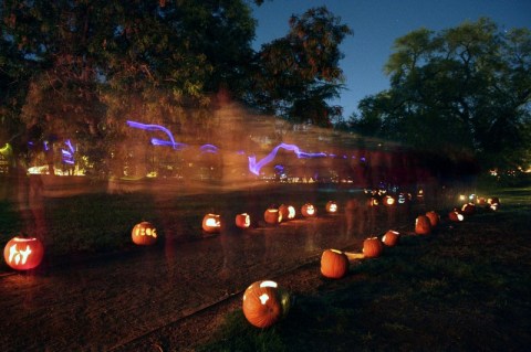 Walk Through A Trail Of 2,000 Glowing Jack-O-Lanterns This Halloween At The Lubbock Memorial Arboretum In Texas