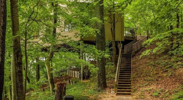 Sleep Among Towering Treetops At The Enchanted Lakefront Treehouse In Michigan