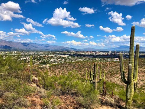 Surrounded By Desert Beauty, The Trail Leading Up Arizona's Tumamoc Hill Is A Hiker's Paradise