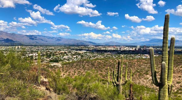 Surrounded By Desert Beauty, The Trail Leading Up Arizona’s Tumamoc Hill Is A Hiker’s Paradise