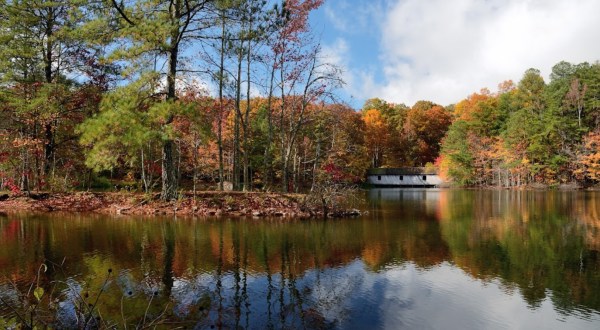 7 Of Alabama’s Most Beautiful Vistas To Experience This Fall Season