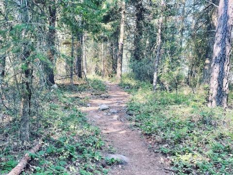 This 2.9-Mile Loop Trail Is One Of the Most Beautiful And Underrated Hikes In Northern Idaho