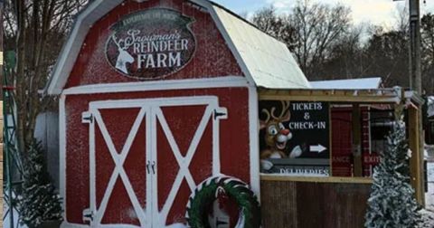 Visit Donner And Blitzen This Holiday Season At Illinois' Very Own Reindeer Farm