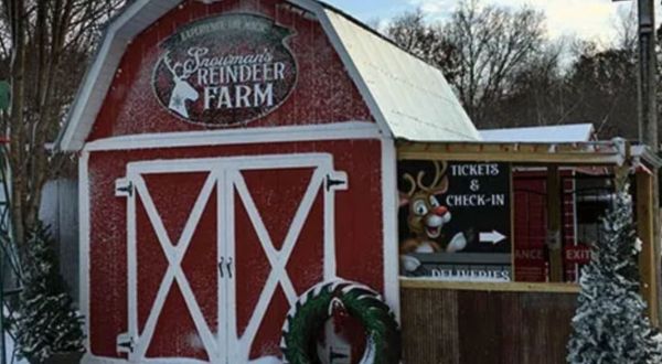 Visit Donner And Blitzen This Holiday Season At Illinois’ Very Own Reindeer Farm