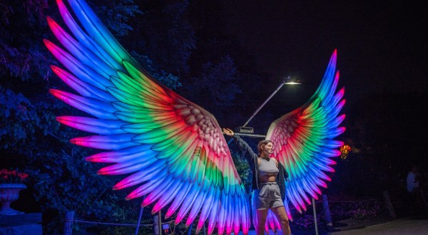 A Larger-Than-Life Light Experience Is Coming To Arkansas This Winter