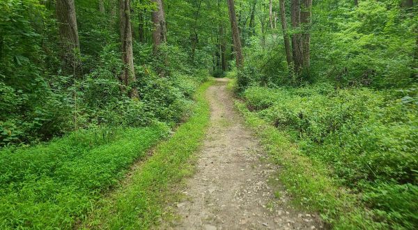 Hike To A Cave And An Abandoned Mine Hiding In The Forest In Pennsylvania