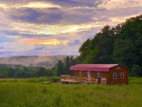 The Farm Sanctuary Airbnb In Pennsylvania Is An Idyllic Getaway For Animal Lovers Of All Ages