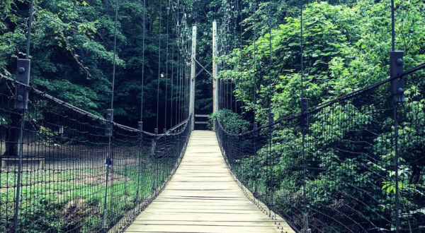 Spend The Day Exploring These Three Swinging Bridges In South Carolina