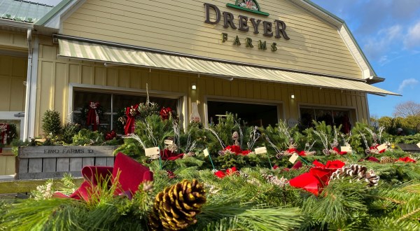 Choose From More Than 13 Flavors Of Scrumptious Pie When You Visit Dreyer Farms In New Jersey
