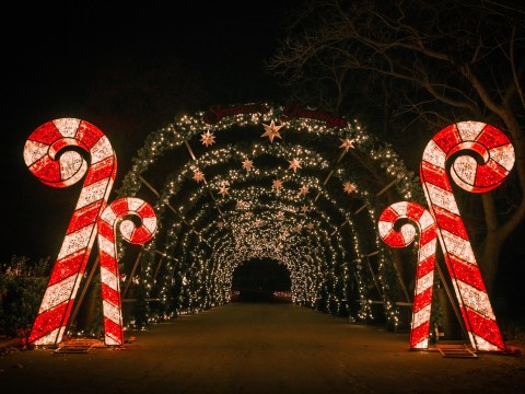 The Larger-Than-Life Holiday Road Experience Is Coming To Virginia This Winter