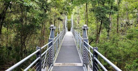 Spend The Day Exploring These Three Swinging Bridges In Mississippi