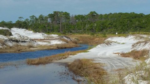 Topsail Hill Preserve State Park Near The Gulf Of Mexico In Florida Lets You Glamp In Style