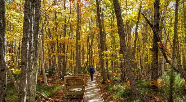 Acadia National Park Is The Perfect Family Getaway And These 7 Hikes Will Keep Everyone Busy