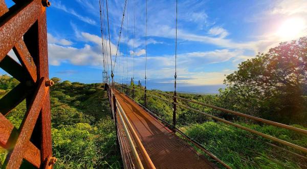 Walk Across A 360-Foot Suspension Bridge Over The Kaopala Gulch In Hawaii