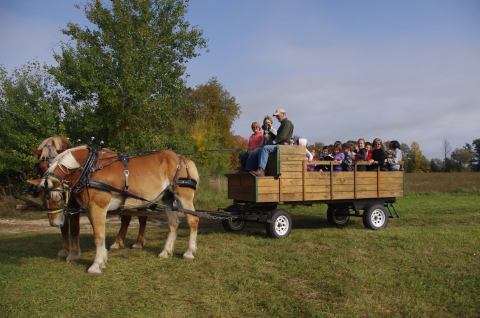 This Quaint Wagon Ride Through Michigan’s Forest And Fields Is A Magnificent Way To Take It All In