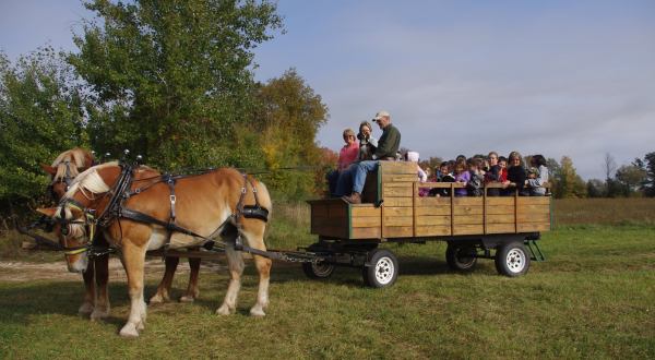 This Quaint Wagon Ride Through Michigan’s Forest And Fields Is A Magnificent Way To Take It All In