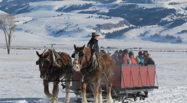 Visit The National Elk Refuge This Winter In Wyoming For Sleigh Rides And Wildlife Spotting