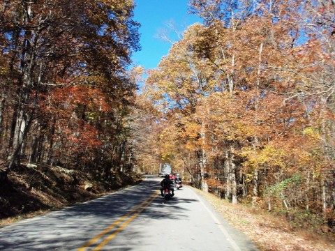 There's Nothing Quite As Magical As The Tunnel Of Trees You'll Find At Pig Trail Scenic Byway in Arkansas