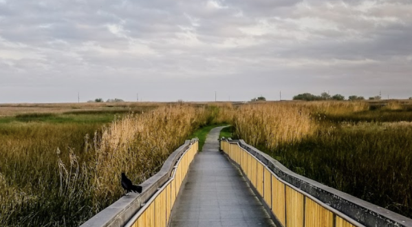 Walk Straight Through The Marsh On This Louisiana Wetlands Walkway