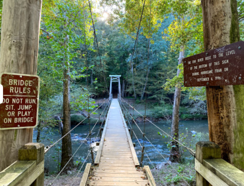 Hike To Spectacular Bridges Hiding Along These 5 Trails In North Carolina