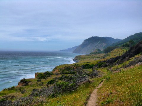 Sinkyone Wilderness State Park Is A Little-Known Park In Northern California That Is Perfect For Your Next Outing