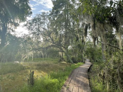 The Bayou Coquille Trail Near New Orleans Is A 1-Mile Out-And-Back Hike With A Marsh Overlook