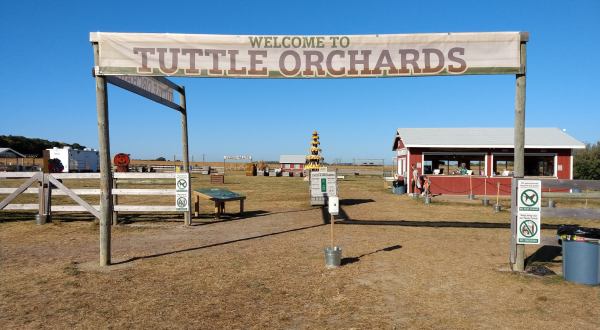 The Cider Slushies From Tuttle Orchards In Indiana Are Very Refreshing